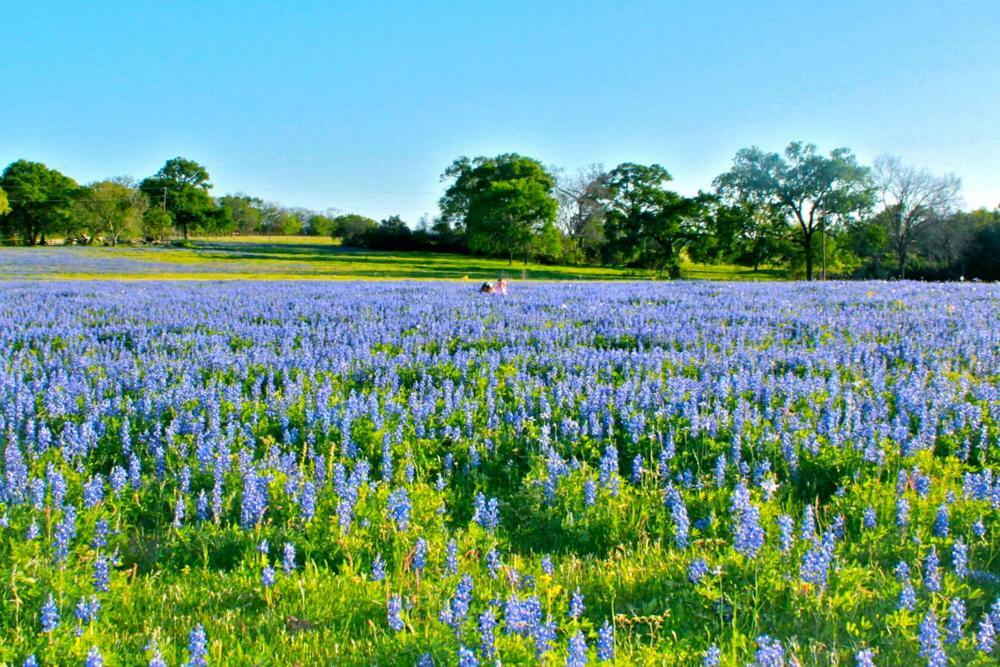 Square Inn Wimberley Buitenkant foto